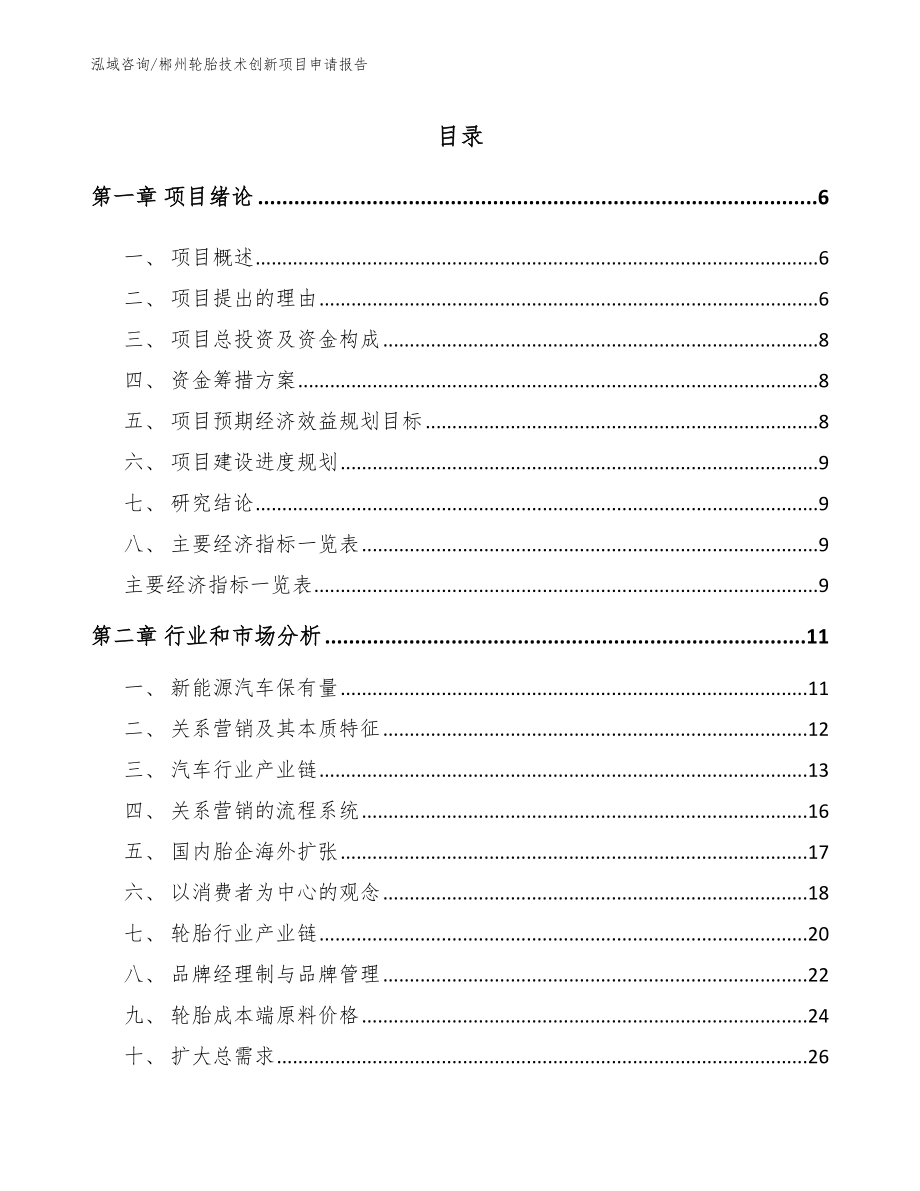 郴州轮胎技术创新项目申请报告【模板参考】_第1页