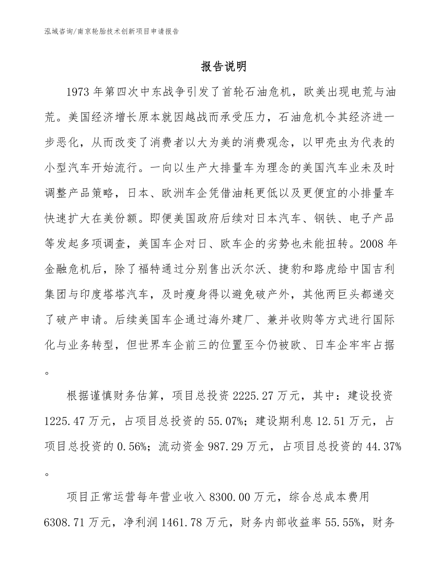 南京轮胎技术创新项目申请报告模板_第1页