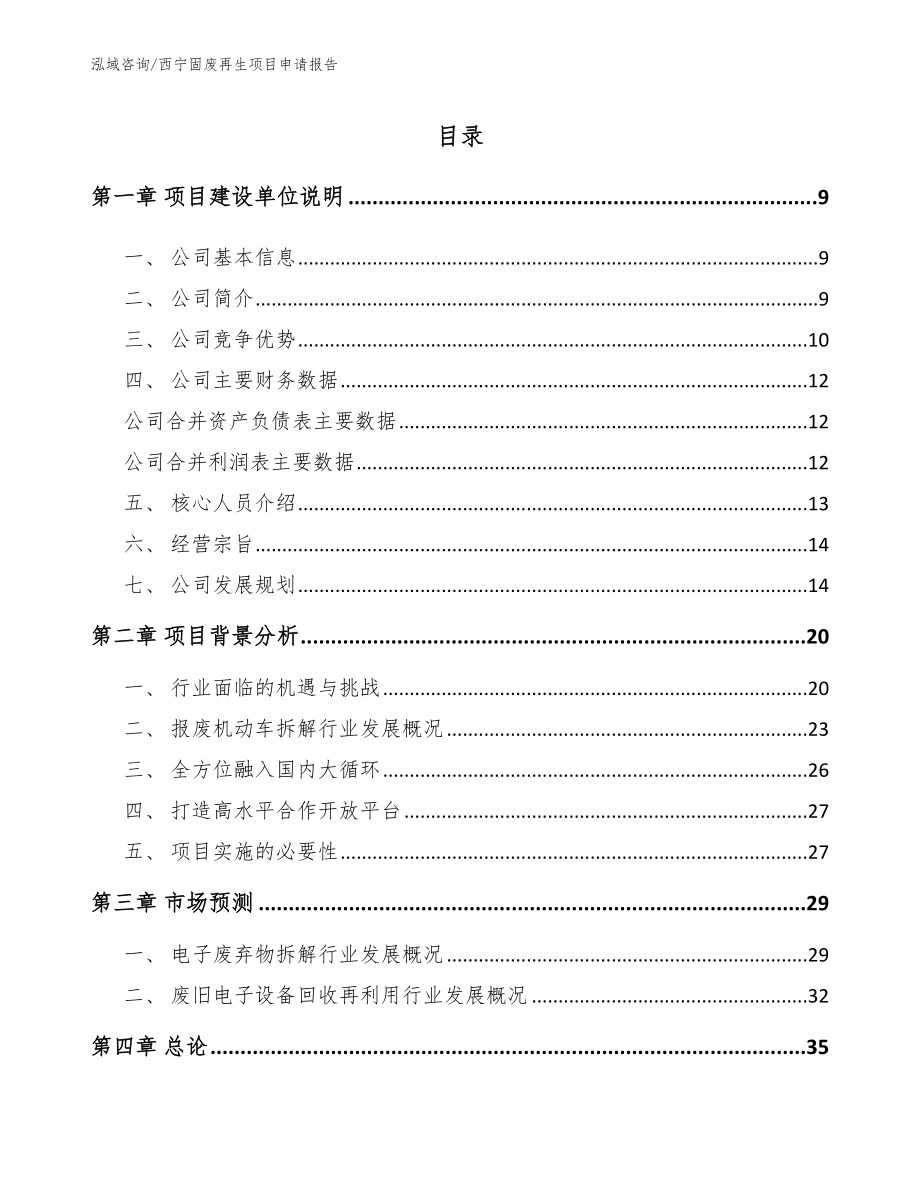 西宁固废再生项目申请报告模板范文_第1页