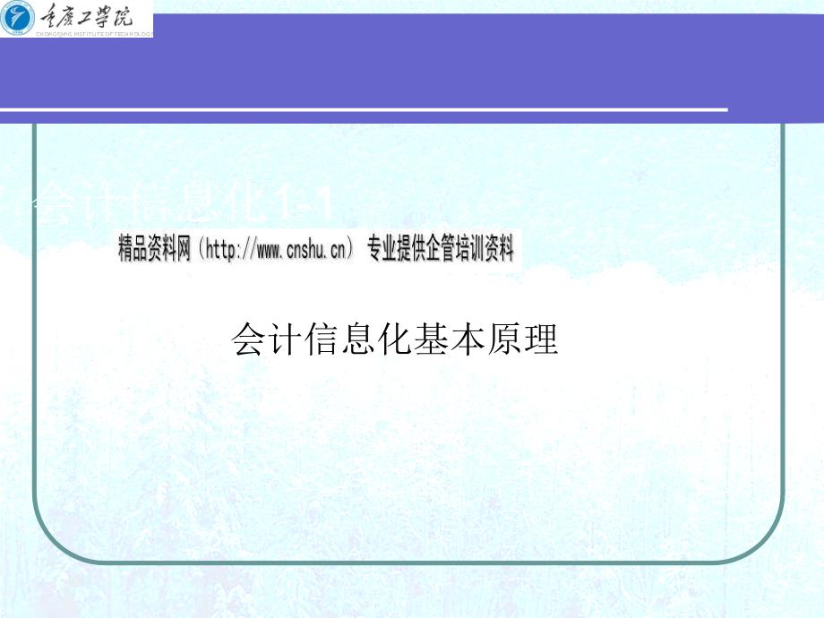 会计信息化基本概念与基本内容_第1页