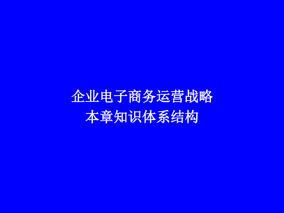 企业电子商务运营战略(ppt 41)_第1页