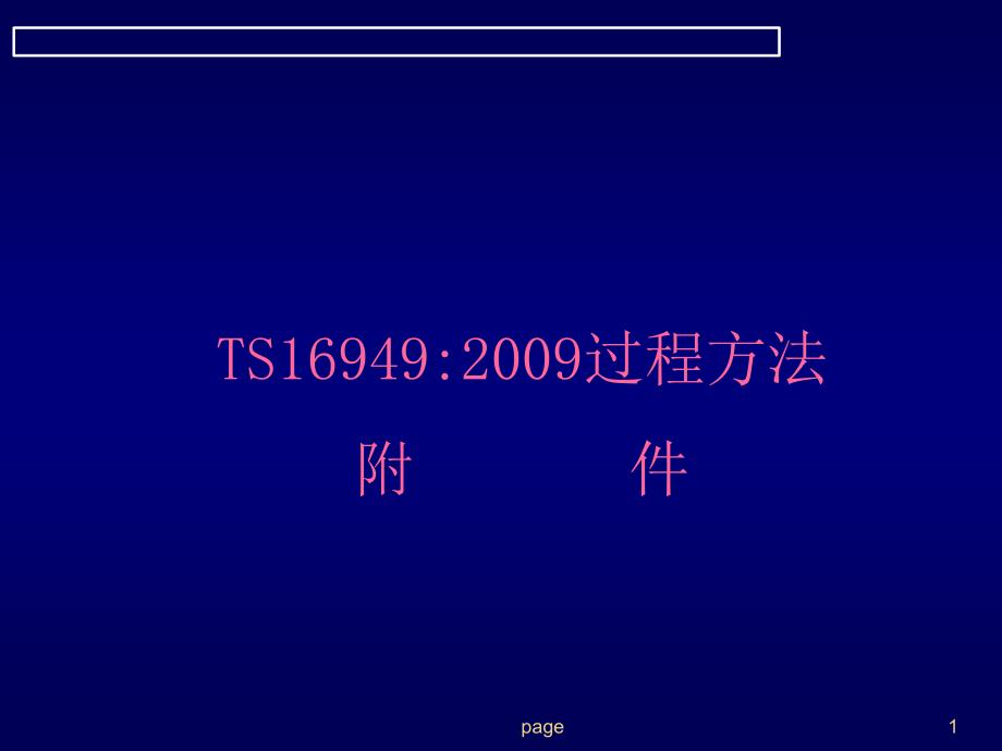 TS169492009过程方法附件_第1页