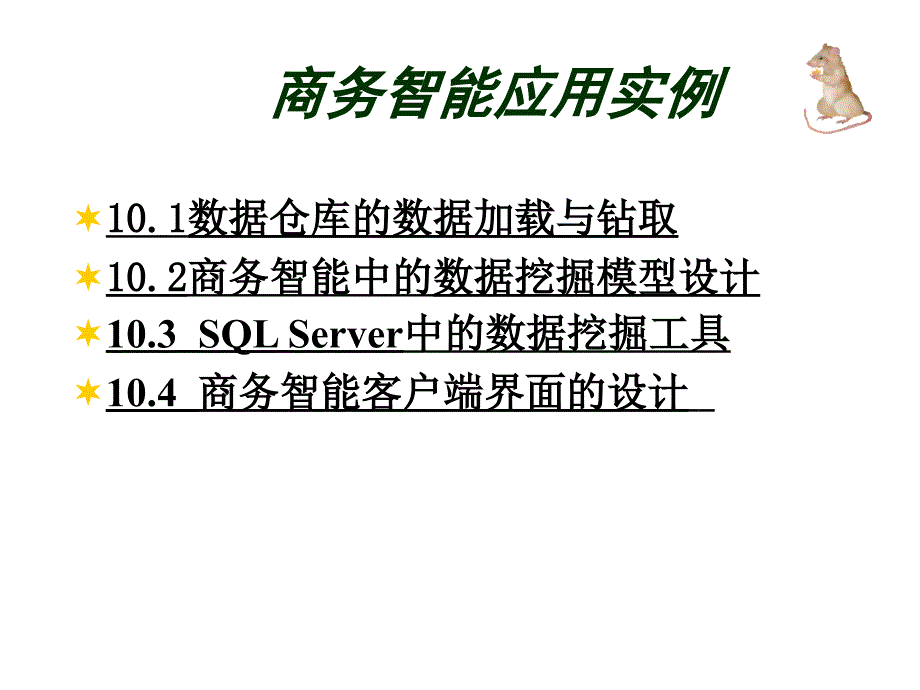 商务智能应用实例_第1页