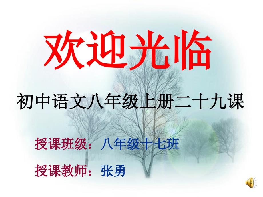 教育专题：29课湖心亭看雪_第1页