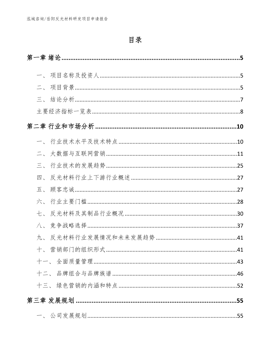 岳阳反光材料研发项目申请报告_第1页