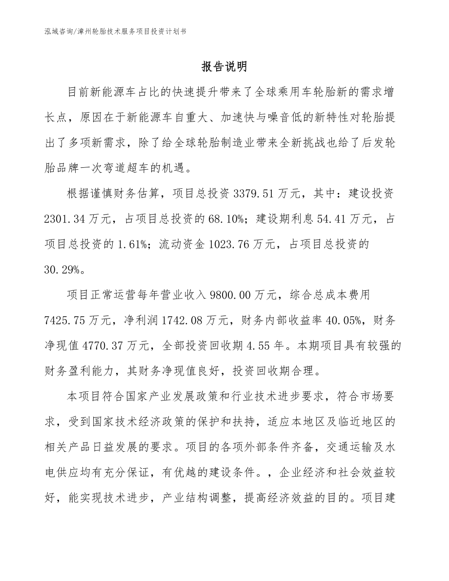 漳州轮胎技术服务项目投资计划书参考范文_第1页