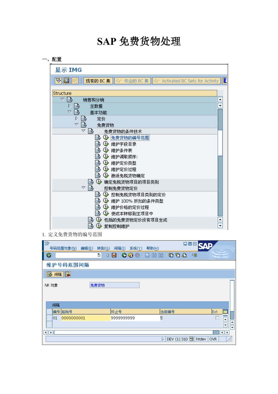 SAP免費(fèi)貨物的處理_第1頁