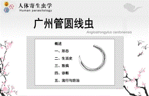 人体寄生虫学：广州管圆线虫