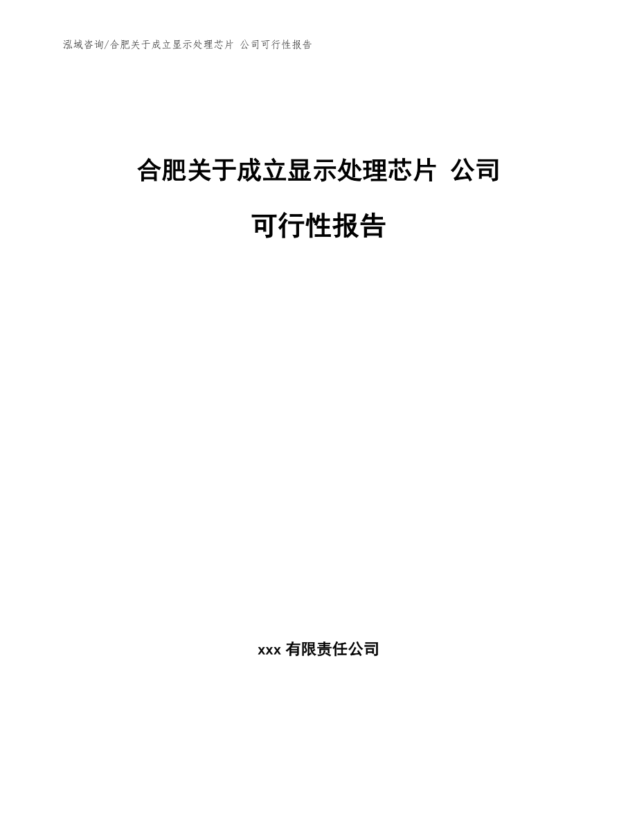 合肥关于成立显示处理芯片 公司可行性报告（参考范文）_第1页