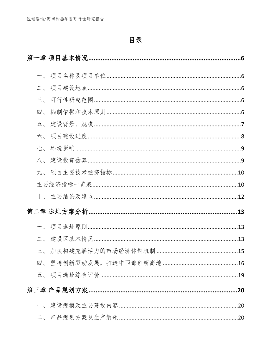 河南轮胎项目可行性研究报告_第1页