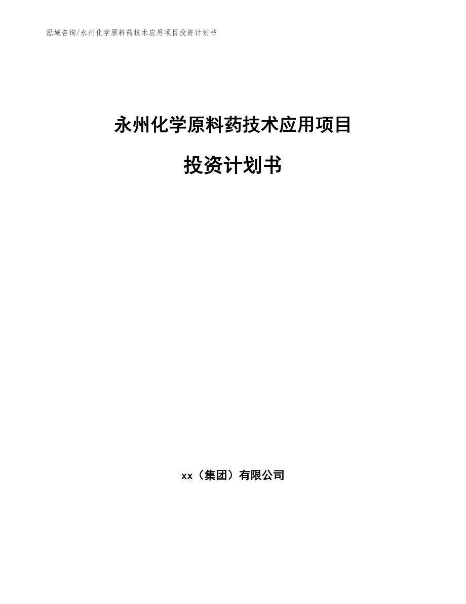 永州化学原料药技术应用项目投资计划书_第1页