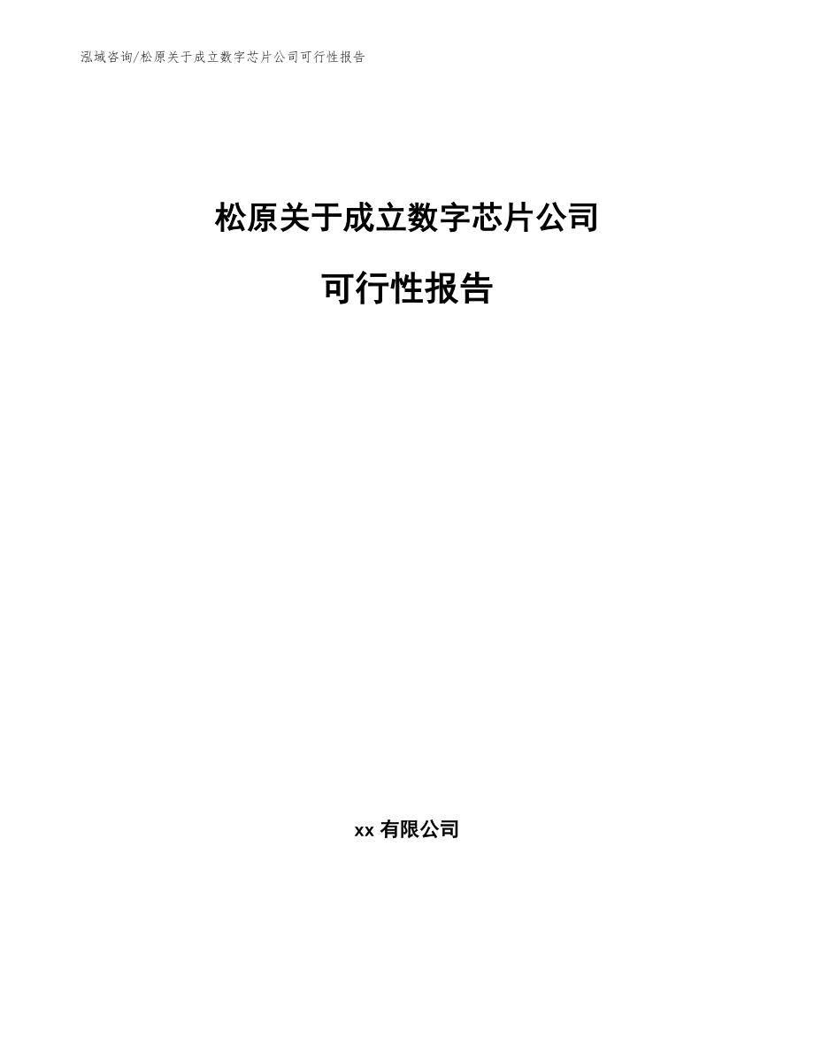 松原关于成立数字芯片公司可行性报告【模板范文】_第1页