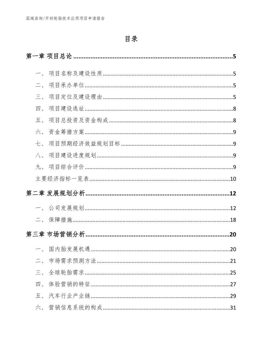 开封轮胎技术应用项目申请报告模板范本_第1页