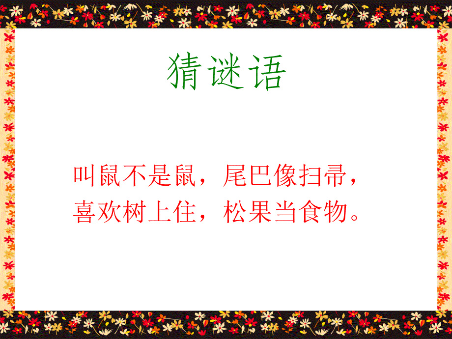 教育专题：《跑进家来的松鼠》课件_第1页