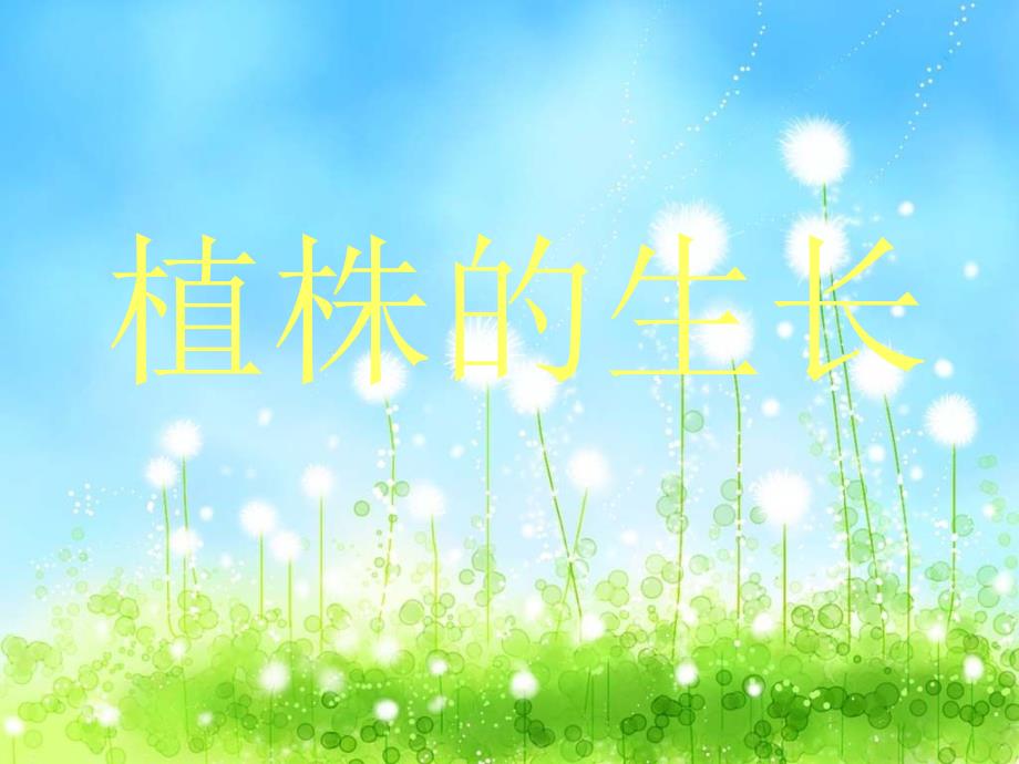 生物：第3单元第2章第2节 植株的生长课件_第1页