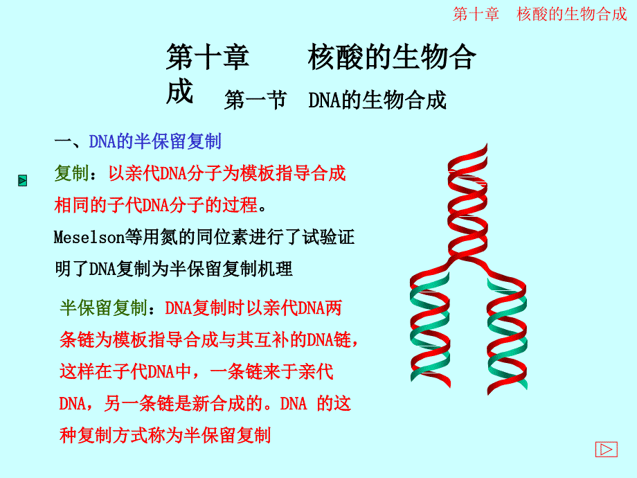 分子生物学--核酸的生物合成_第1页