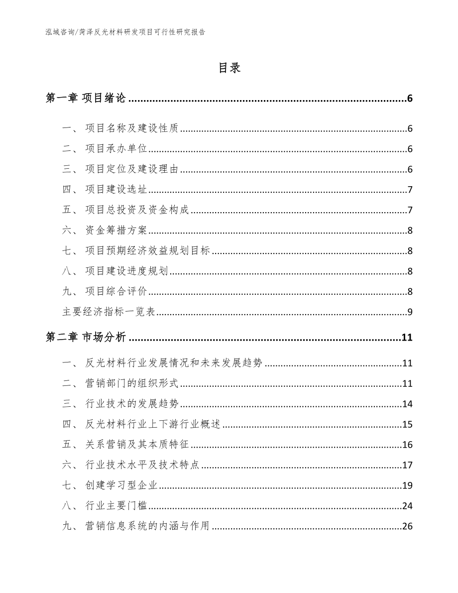 菏泽反光材料研发项目可行性研究报告（参考范文）_第1页