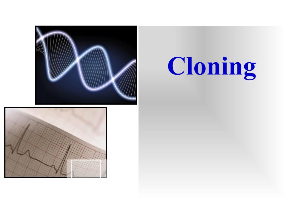 外研版高中英语选修6《Module-5-Cloning》课件设计_第1页