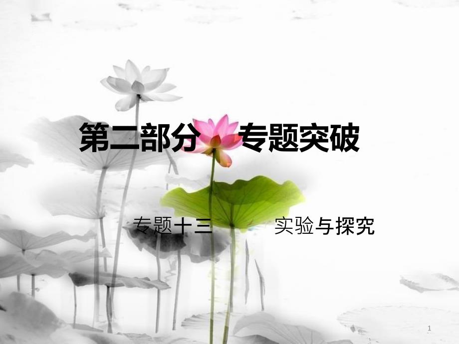 高考生物二轮复习 第二部分 专题十三 实验与探究课件_第1页