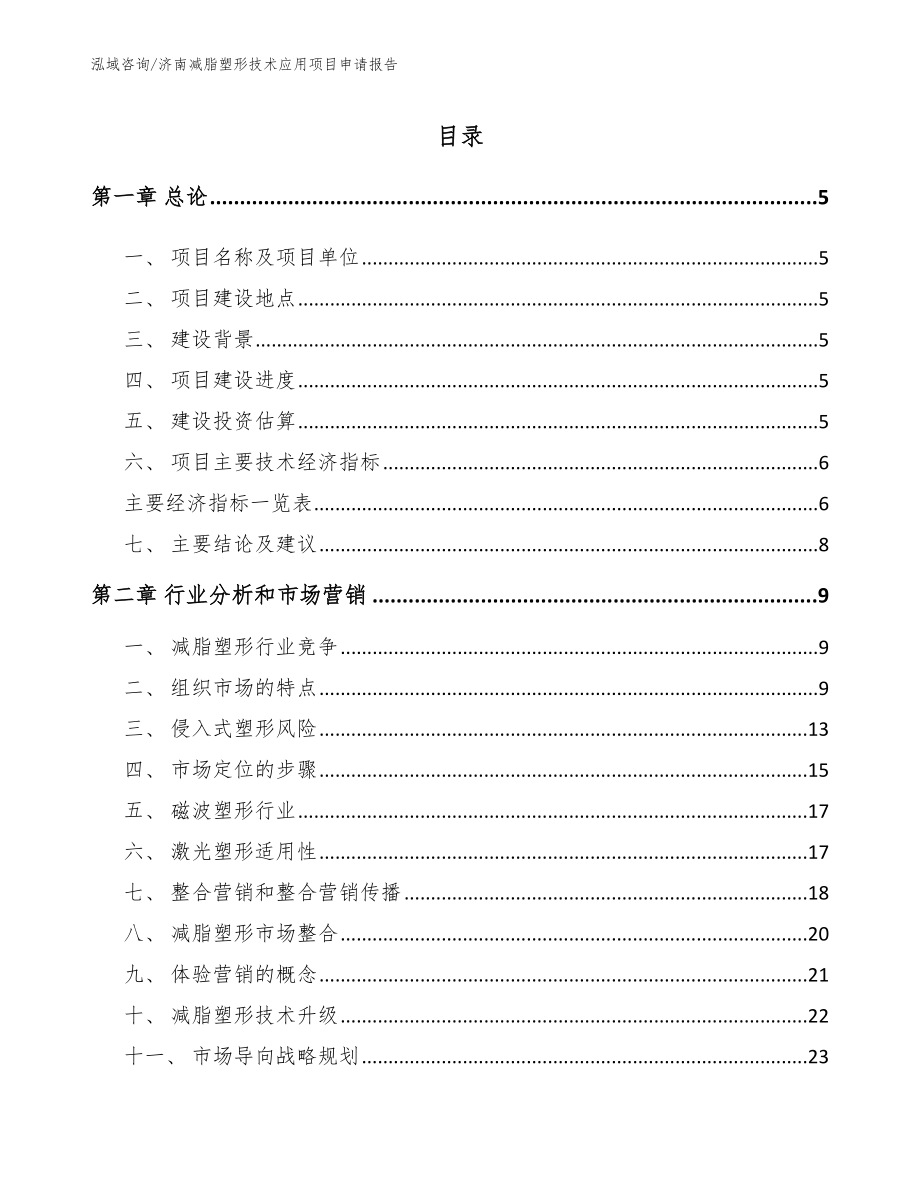 济南减脂塑形技术应用项目申请报告【范文】_第1页