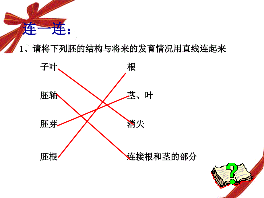 教育专题：植物根的生长_第1页