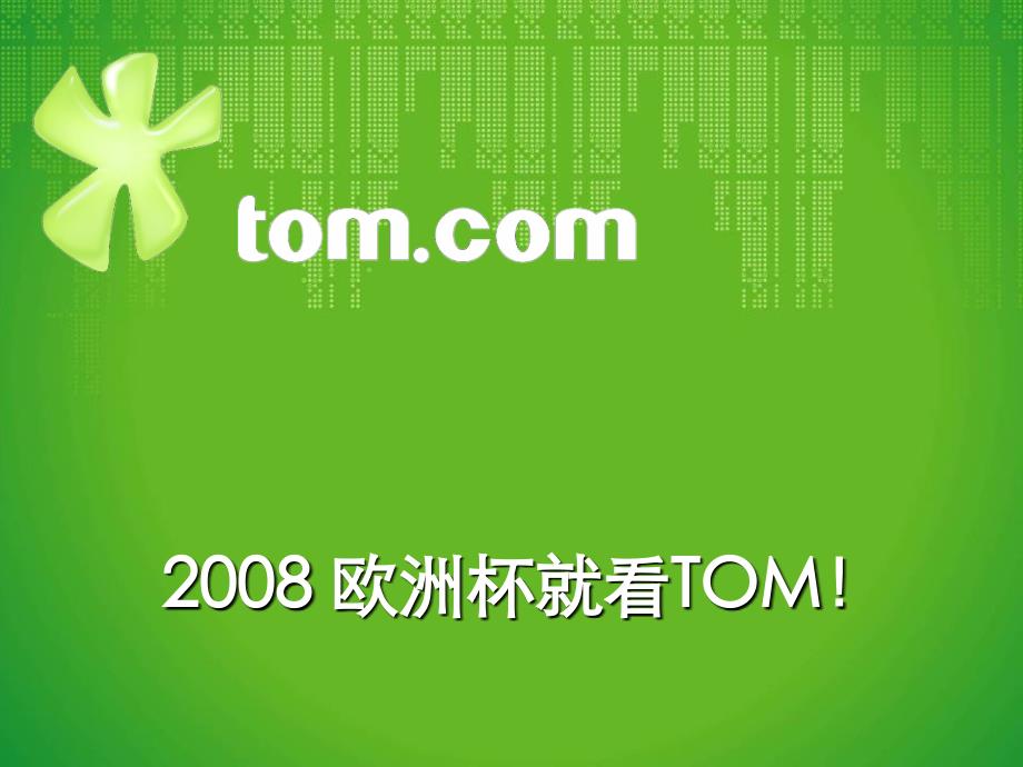 欧洲杯就看TOM!_第1页