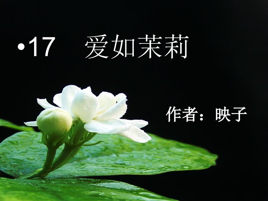 教育专题：17　爱如茉莉 (2)_第1页