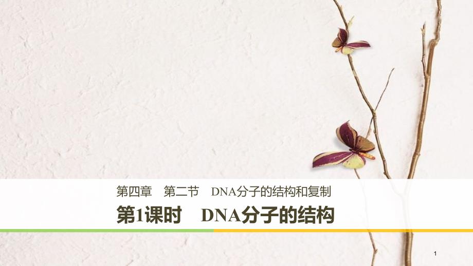 高中生物 第四章 遗传的分子基础 第二节 DNA的结构和DNA的复制 第1课时课件 苏教版必修2_第1页