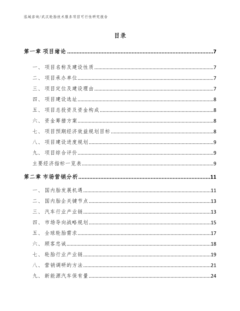 武汉轮胎技术服务项目可行性研究报告参考模板_第1页