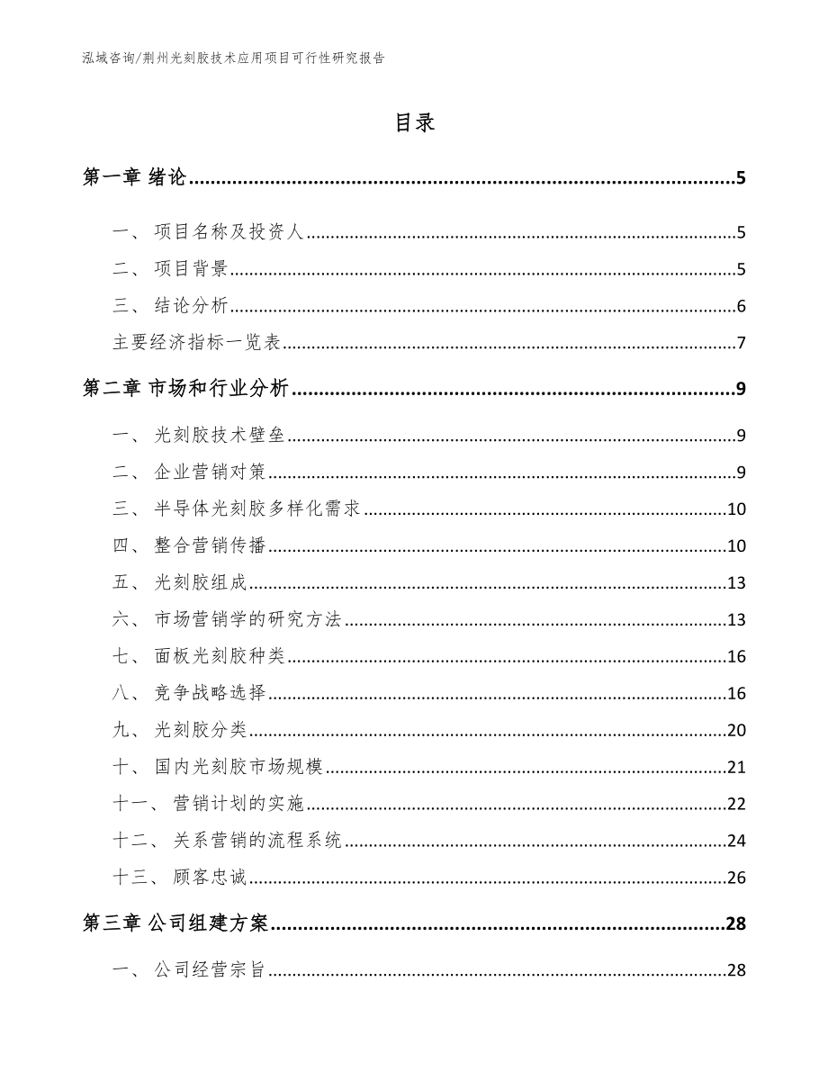 荆州光刻胶技术应用项目可行性研究报告_第1页