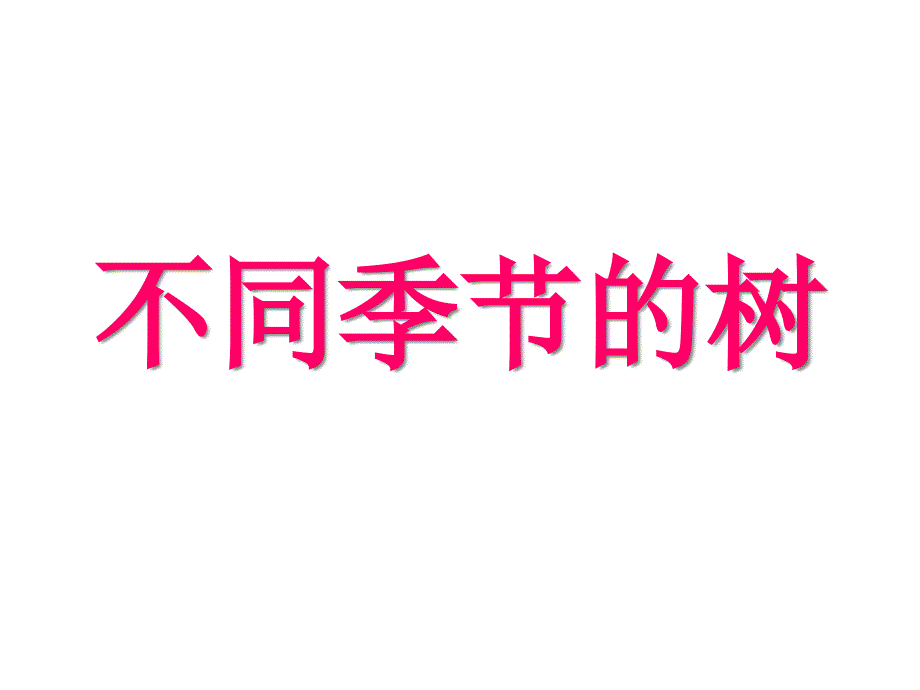 幼儿园大班科学《不同季节的树》课件_第1页