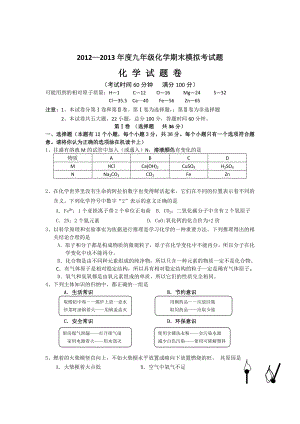 四川省望子成龙学校2013届九年级上学期期末模拟化学试题