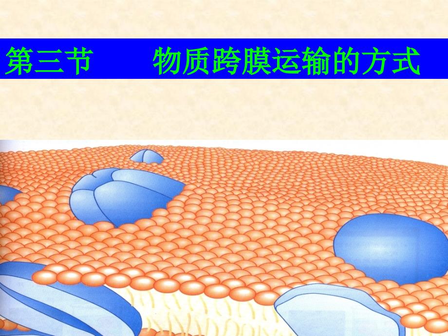 物质跨膜运输_第1页