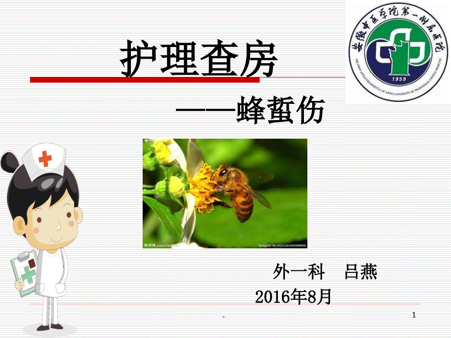 新版蜂蜇伤护理查房-医学ppt课件_第1页