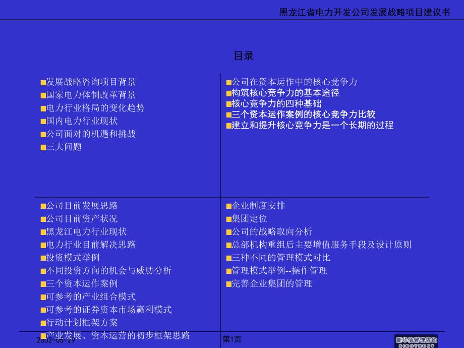 黑龙江省电力开发公司发展战略咨询报告xwb_第1页