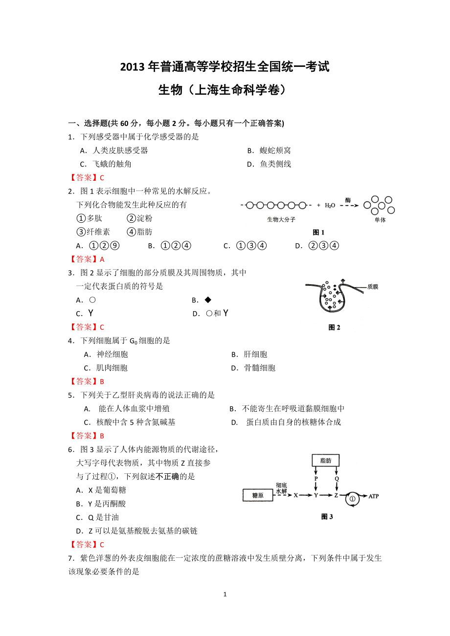 2013年普通高等学校招生全国统一考试 生物(清晰精较解析版) 上海卷_第1页