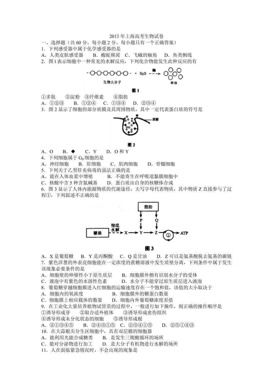 2013年普通高等学校招生统一考试——上海市生物(有答案)_第1页