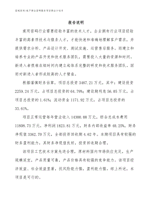 咸宁商业密码服务项目商业计划书