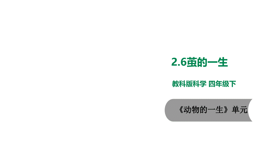 教科版小学科学新版本三年级下册科学26蚕的一生课件_第1页