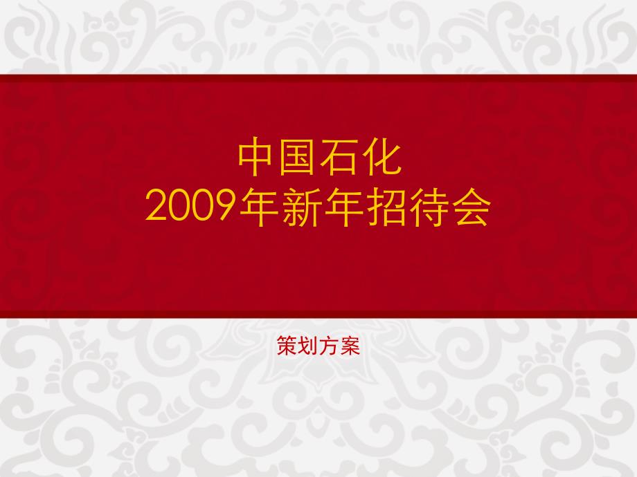 中国石化_2009年新春招待会_第1页