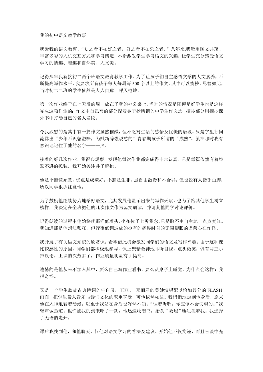 我的初中语文教学故事_第1页