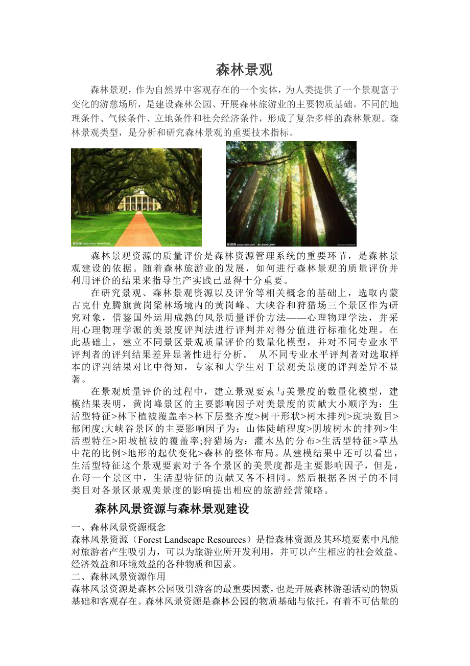 森林景观 (2)_第1页