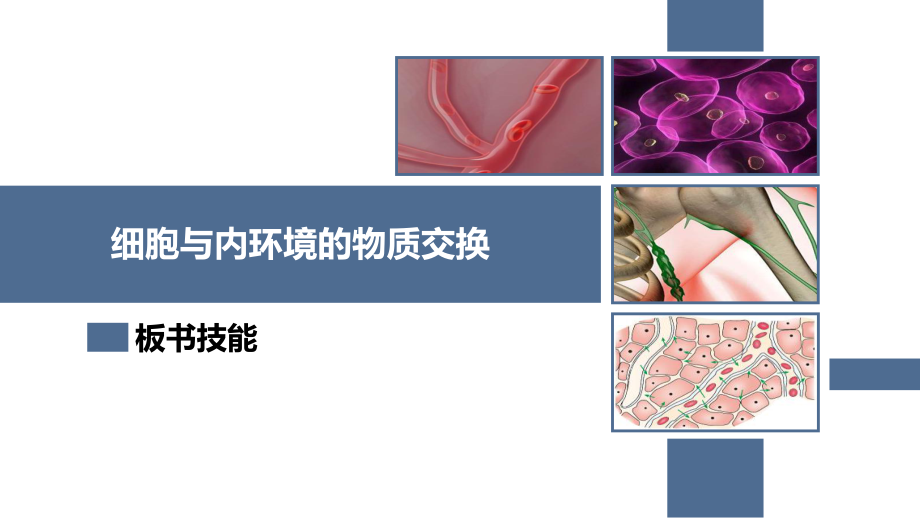 细胞与内环境的物质交换 教学板书_第1页