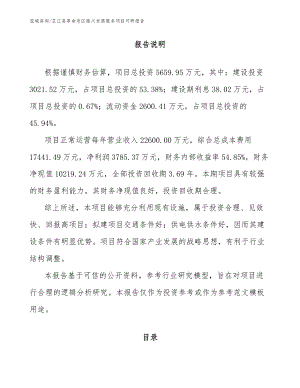 芷江县革命老区振兴发展服务项目可研报告_范文模板