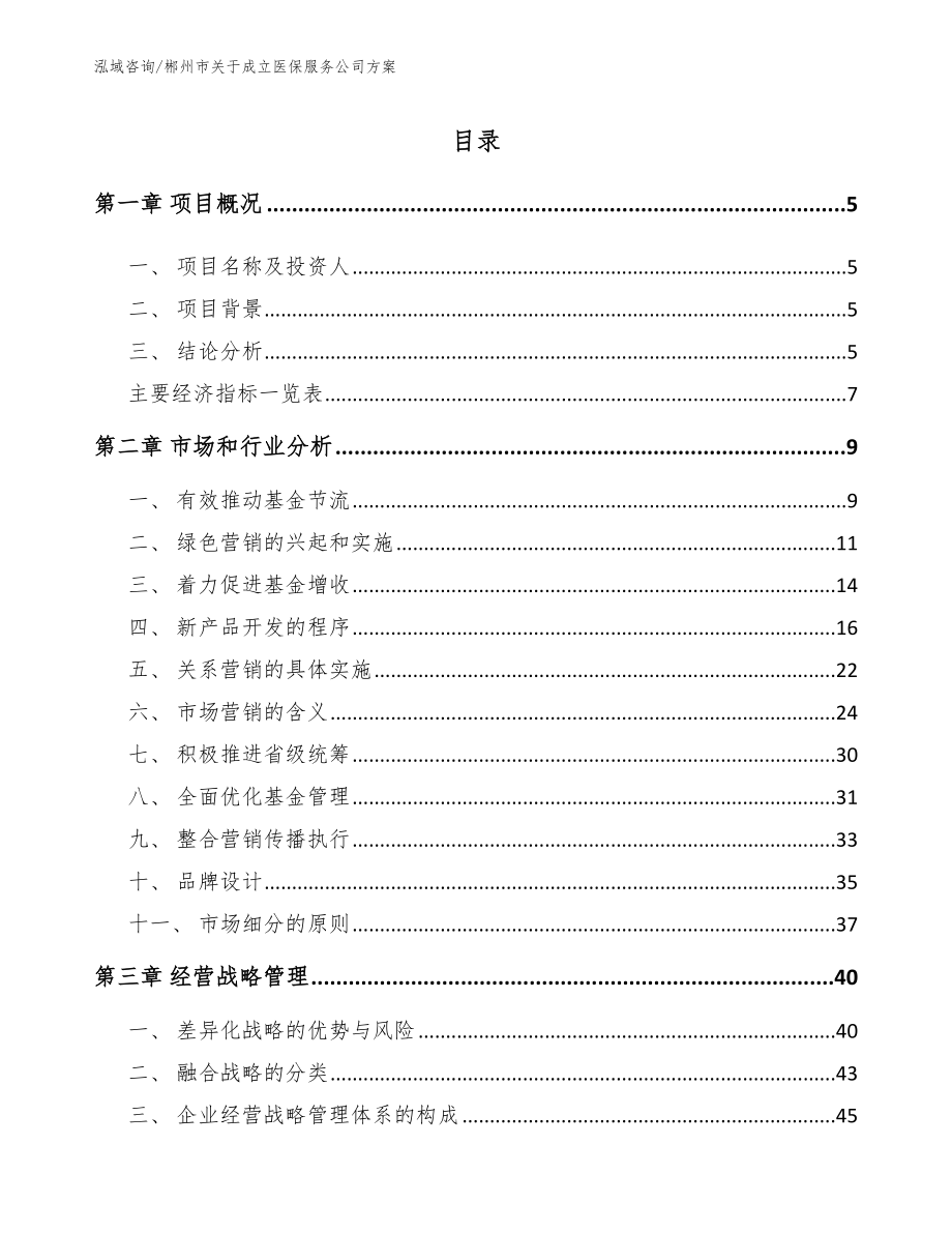 郴州市关于成立医保服务公司方案_模板_第1页