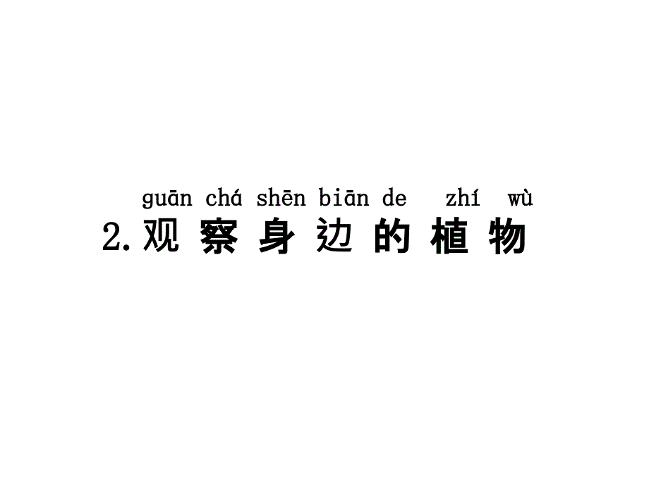 湘教版一年级下册科学42观察身边的植物课件_第1页