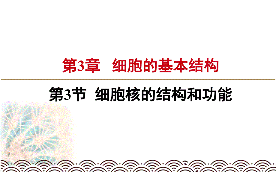 人教版高中生物必修一课件：细胞核的结构和功能新教材_第1页