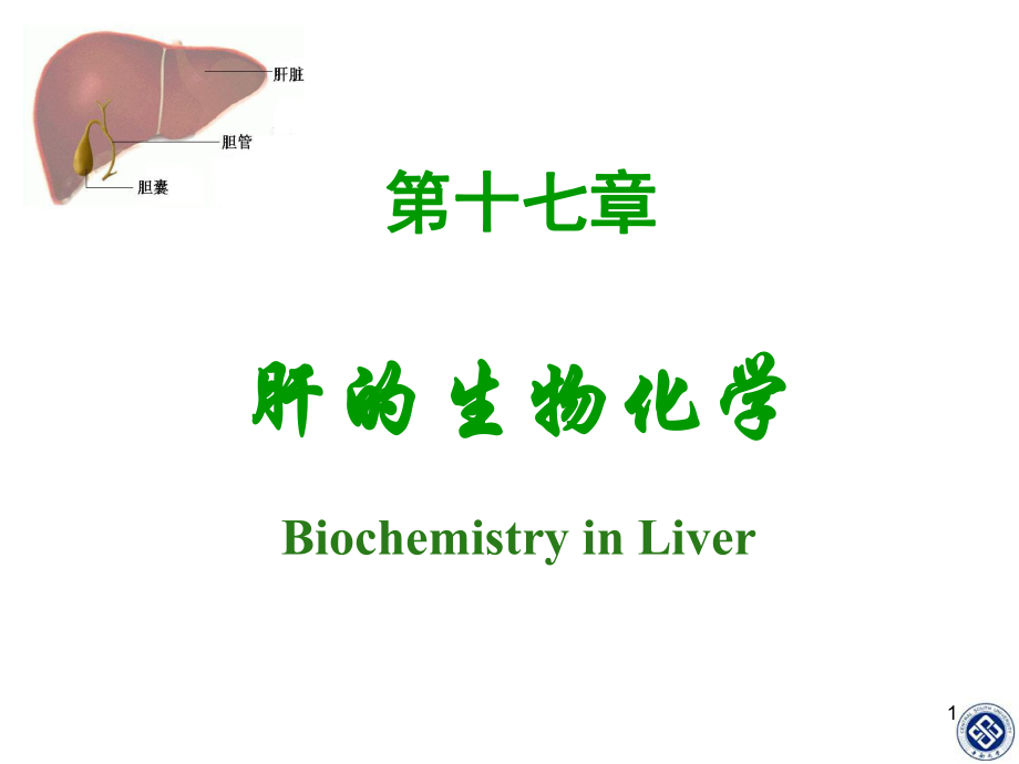 生物化学：第17章 肝的生物化学_第1页