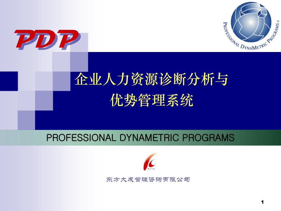 PDP-企业人力资源诊断分析与优势管理系统XXXXnkc_第1页