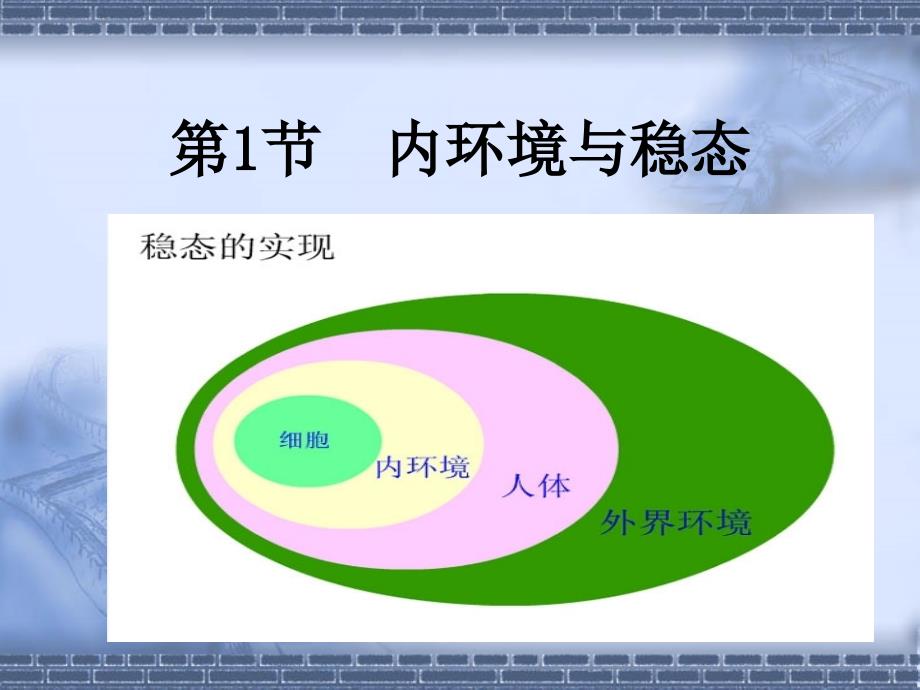 人教版教学课件第1节 内环境与稳态_第1页
